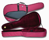 classical guitar cases Andaz - colors BsB