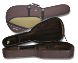 classical guitar cases Andaz - colors ReR