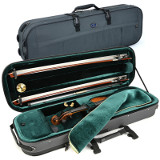 violin case - Artonus Geeston-Pro - colour SZ