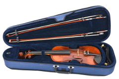 violin case ArtMG model Della