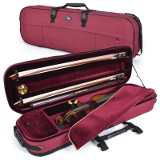 violin case - Artonus Geeston-Pro - colour BB