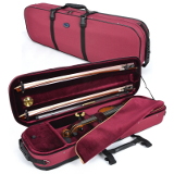 violin case - Artonus Geeston - colour BB