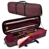 violin case - Artonus Geeston - colour WB