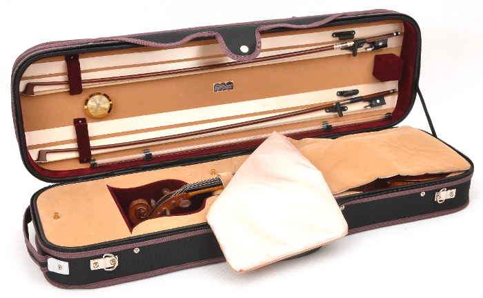 violin case Milano B