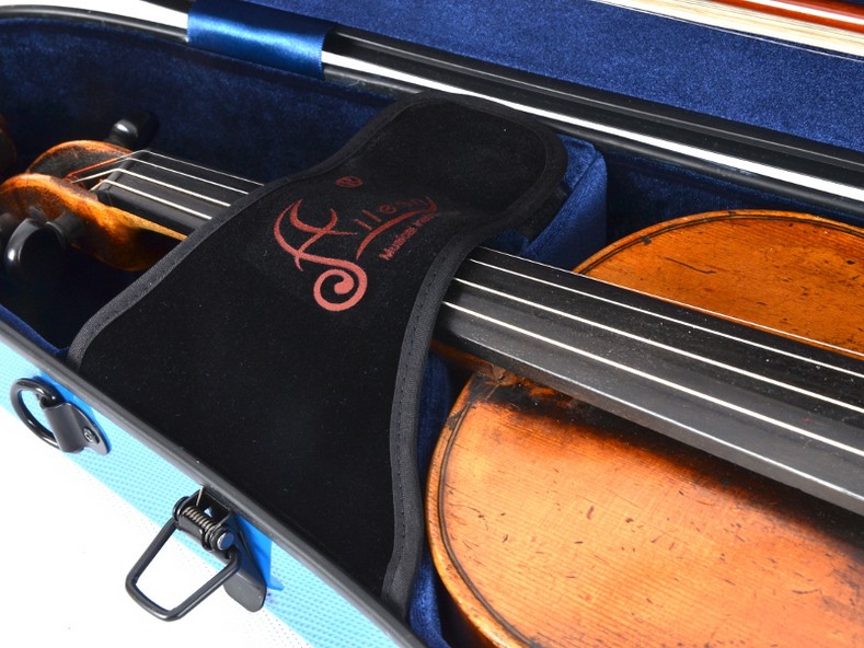 Aileen on sale violin case